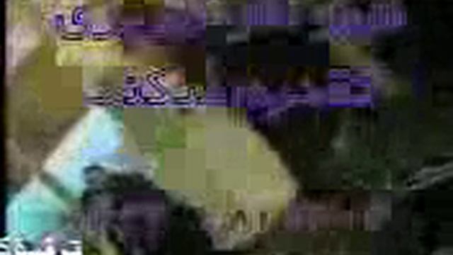 арабские танцы и привлекательные танцовшицы смотреть онлайн