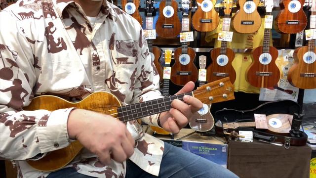 Palm Tree Koa Concert【試奏動画】