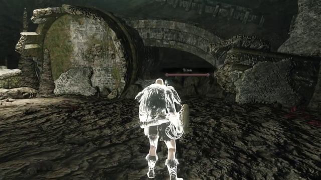 MAXIMUM AMBUSH | Dark Souls 2: Scholar of the First Sin Co-op Funny Moments (Gameplay Montage) смотреть онлайн