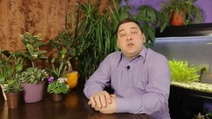 Кактусы уход. Все секреты за 3 минуты