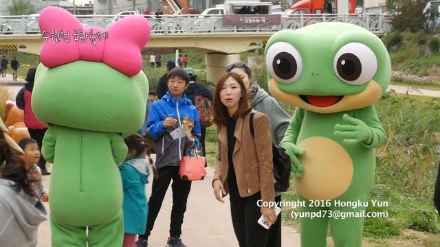 수원천 국화축제 by panasonic G7 (Full HD) смотреть онлайн
