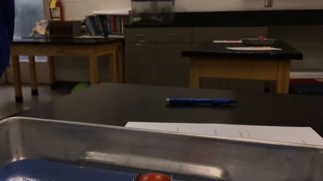 Dissection of a Tomato смотреть онлайн