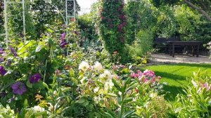 ? Клематисы | Планируем совместные посадки ? Часть 1 Группы обрезки.