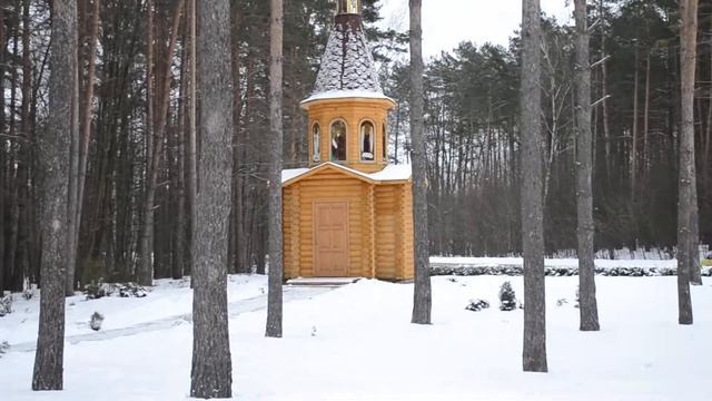 баня своими руками ! или беседка сруб дома дача смотреть онлайн