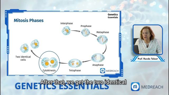Genetics 1 Translated