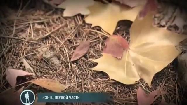 Южная Корея  Корейский дневник