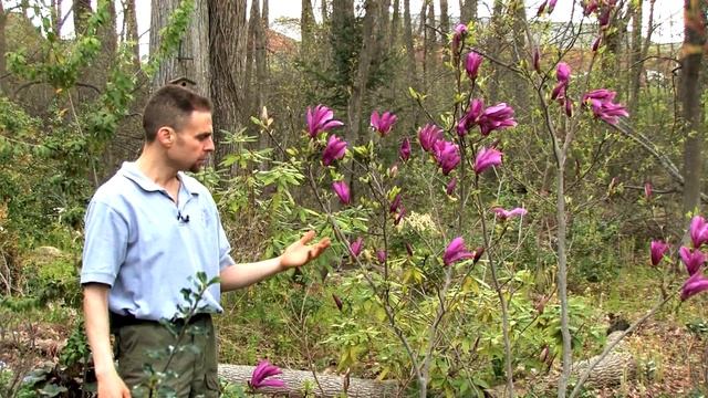 Growing a Betty Magnolia смотреть онлайн
