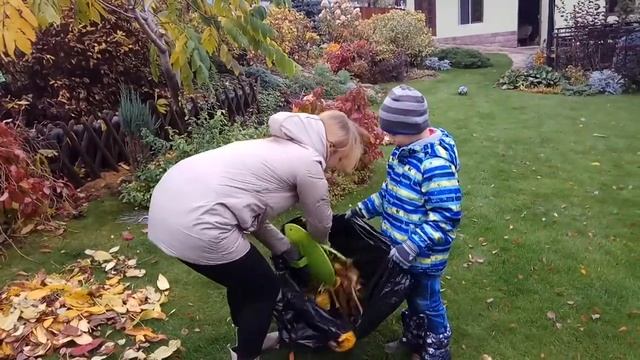 Клипсы для сбора листьев смотреть онлайн