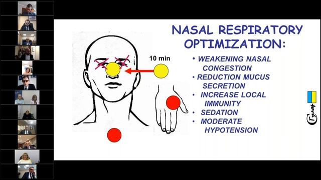 INFLUENZA prophylaxis and correction by BIOPTRON-light influence (ru/engl) смотреть онлайн