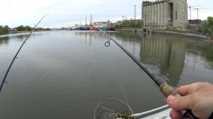 РЫБАЛКА Ростов-на-Дону НАЛОВИЛИ СЕЛЕДКИ. 29 линия.