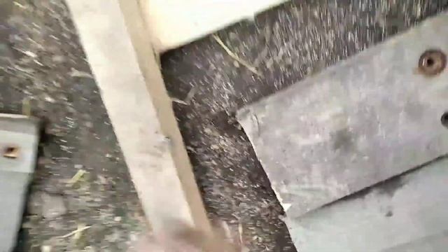 ГРОУБОКС за 3 часа- для маленьких поросят- как обогреть новорожденных поросят - домик для поросят смотреть онлайн