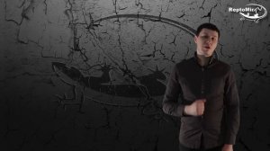 Содержание ужа обыкновенного в домашних условиях.Справочник террариумиста #1