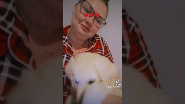 Моя мечта❤️/собака/щенок