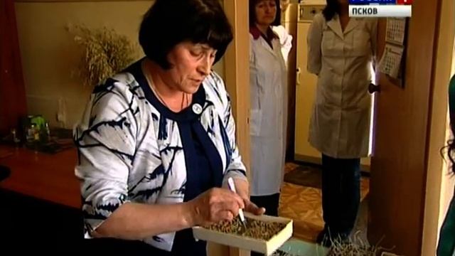 Профи. "Россельхозцентр" по Псковской области смотреть онлайн