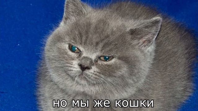 Томас, я немного озабочен но в конце то чего вы ожидали смотреть онлайн