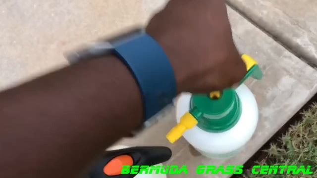 5 dollar versus 20 dollar 1/2 Gallon Pump Sprayer смотреть онлайн