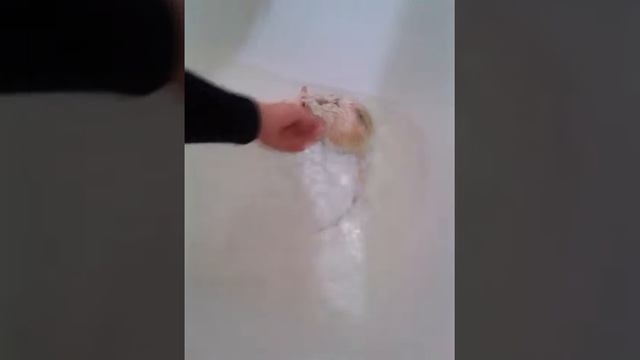 Купаем крысу смотреть онлайн