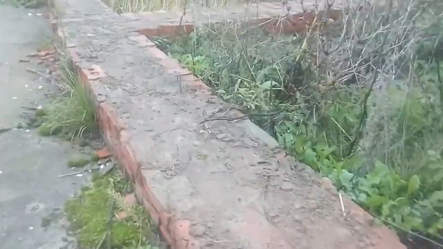 Участок в В. Услоне. Ижс смотреть онлайн