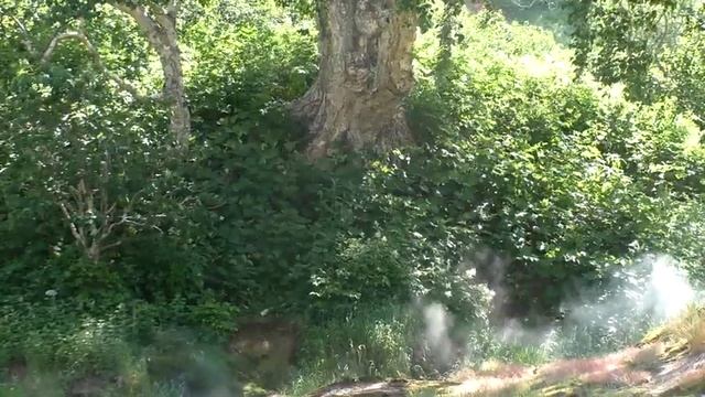 Долина гейзеров. Кальдера вулкана Узон (июль 2023) смотреть онлайн