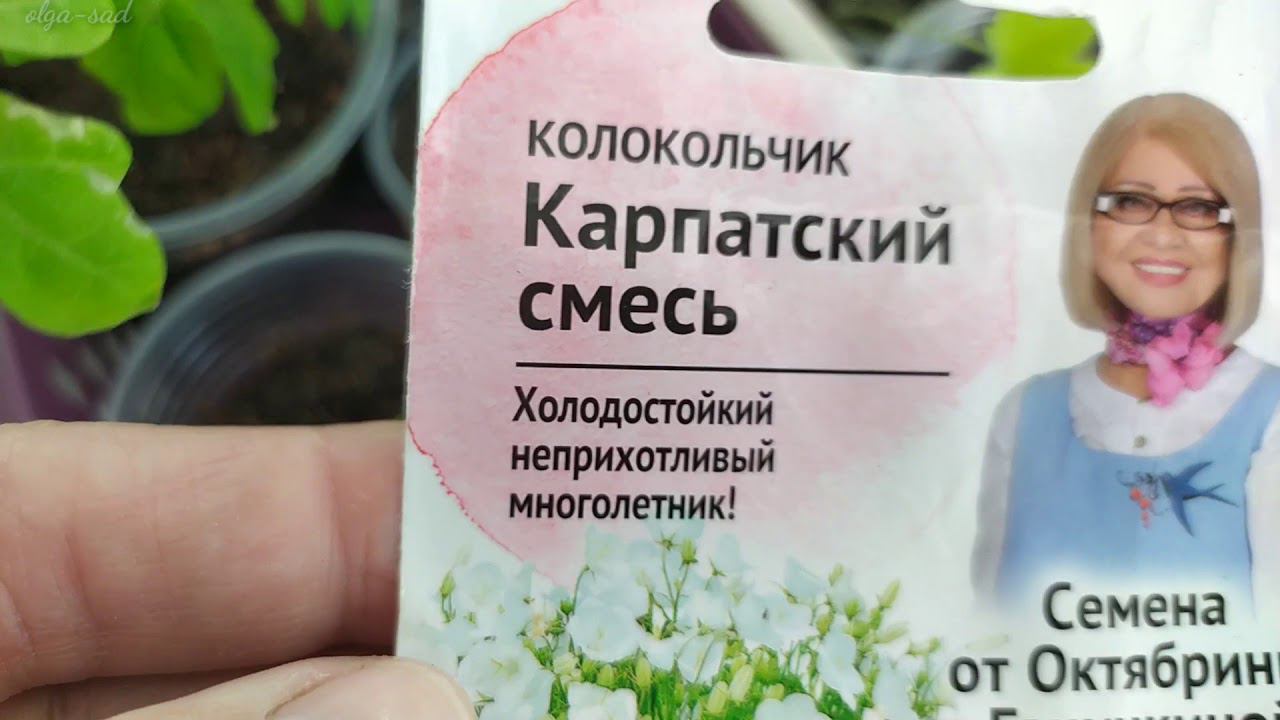 Рассада.Сезон 2020 смотреть онлайн