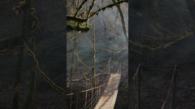 Совсем другой Сочи смотреть онлайн