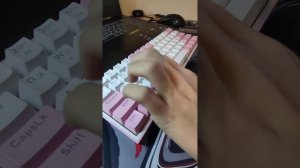 тапинг клавиатуры Red dragon fizz на коричневых свитчах