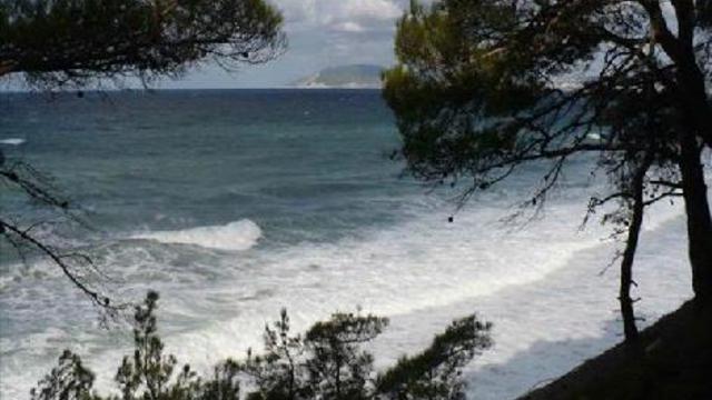 dragostea din tei смотреть онлайн