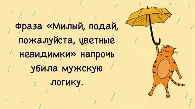 Смешные цитаты и афоризмы/Цитаты для поднятия настроения смотреть онлайн