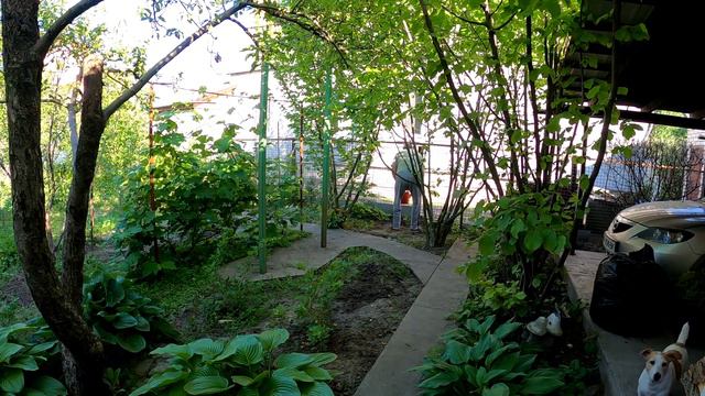 Обзор покупок, поработали и обед с родителями, #жизнь в загородном доме #семейныйканал Всем смотреть онлайн