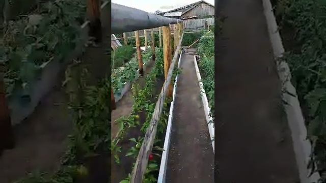Теплица из дров и грядки из б/у подоконников. смотреть онлайн