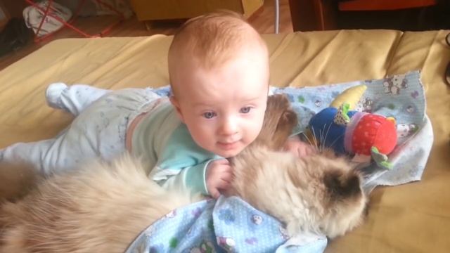 С Днем рождения СЫНОК! смотреть онлайн