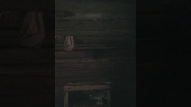 Как лечить маленьких кроликов от поноса , вечерняя пойка. смотреть онлайн