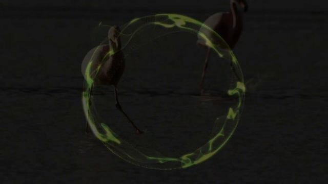 Музыка без Авторских прав.No Copyright Music -Travel.Фоновая музыка смотреть онлайн