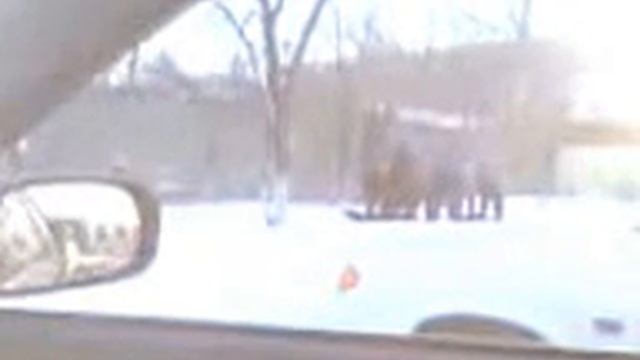 Намаз перед зданием горсуда Актобе 10.02.2014 смотреть онлайн