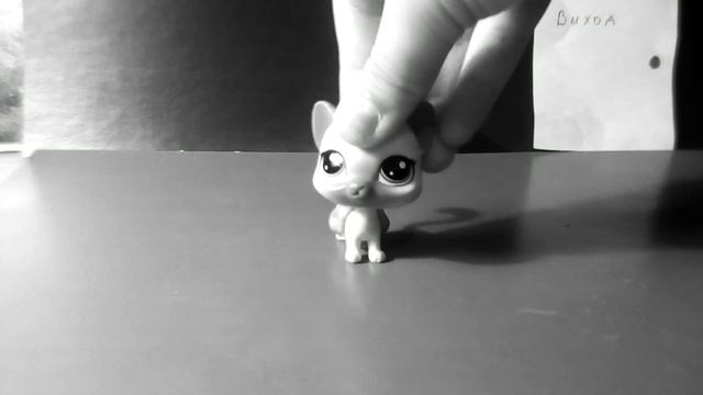 LPS: Клип "Сама виновата" смотреть онлайн