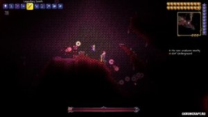 Террария Дриада | NPC Дриада Террария | Как найти Дриада в Террарии