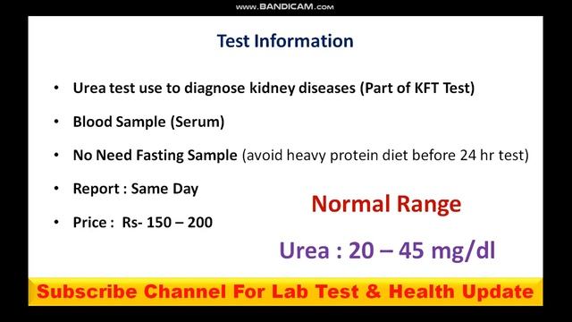 Blood Urea Test in Hindi | Serum Urea Test | Use | Price | Normal Range | Report смотреть онлайн
