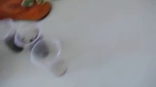 Размножение циперус.avi смотреть онлайн