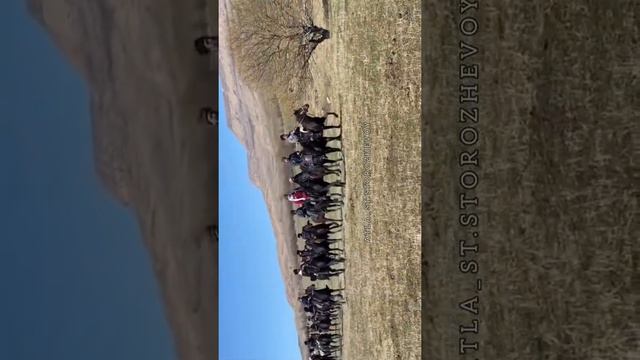 Переход-Выставка на лошадях Карачаевской породы💪🏻 Лаба - Красный Курган✊🏻 смотреть онлайн
