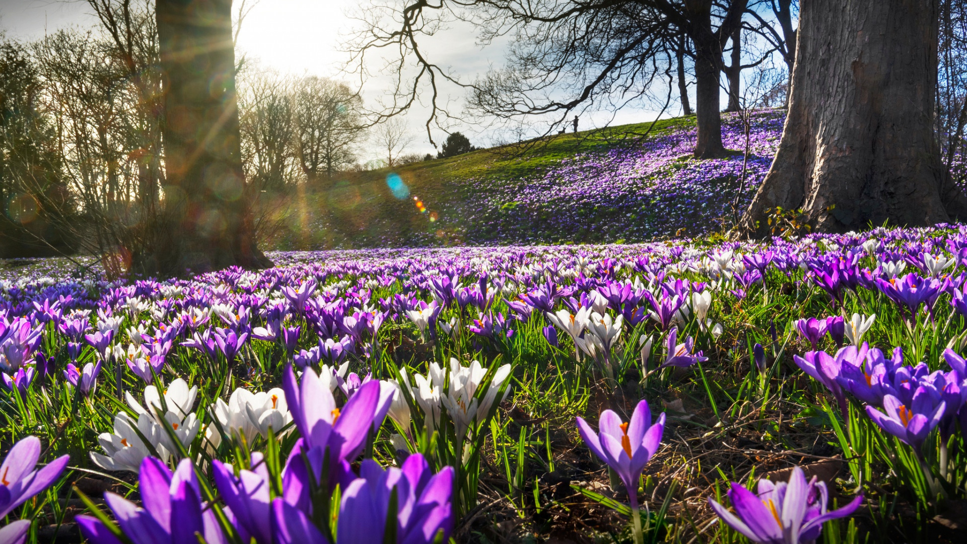 Доктор, пропишите мне весну смотреть онлайн