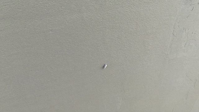 Дом мечты своими руками. Второй этап штукатурки котельной из газоблоков смотреть онлайн