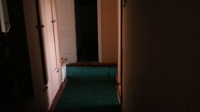 Собачка лает на темноту смотреть онлайн