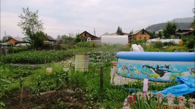 Наша дача, все сезоны смотреть онлайн