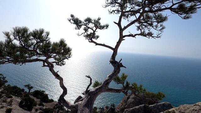 ОБАЛДЕТЬ как красиво. Забрались на вершину Караул-Оба. НОВЫЙ СВЕТ 2021. смотреть онлайн