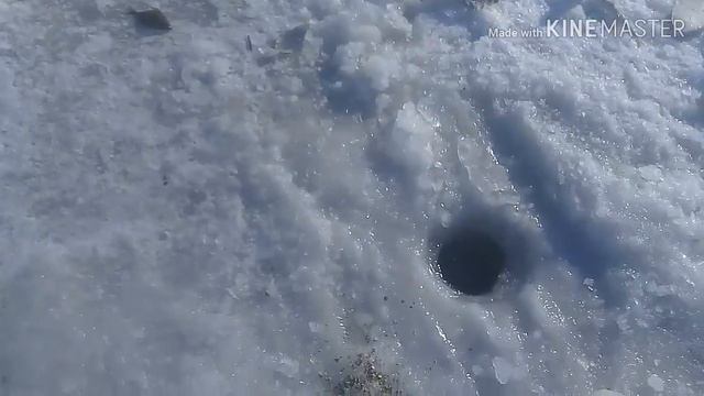 Рыбалка в тавричанке смотреть онлайн