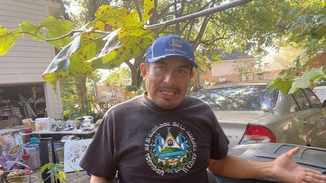 BROMELIAS AL RESCATE ! смотреть онлайн