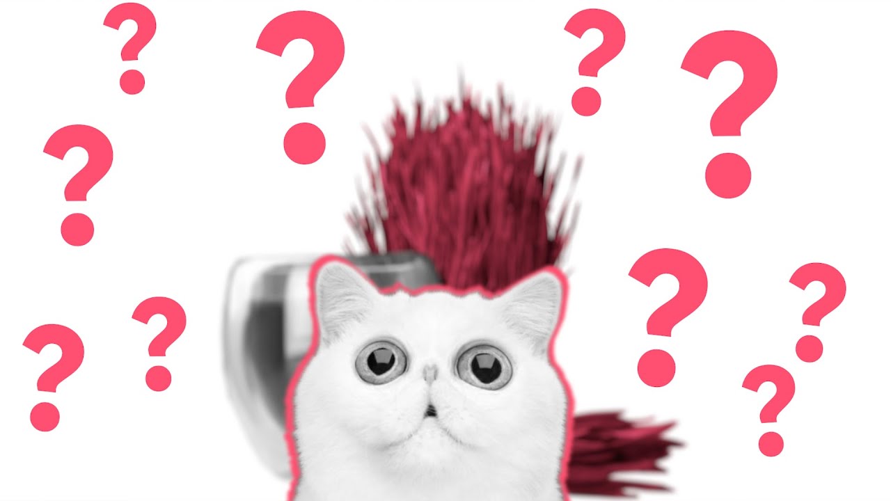 Евгений Стоцинский: 5 ошибок начинающего предпринимателя смотреть онлайн