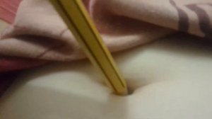 карандаш и пупок