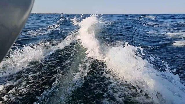 Рыбалка в Балтийске и прогулка на балткосу. смотреть онлайн