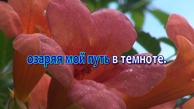 Как цветок полевой, Караоке смотреть онлайн